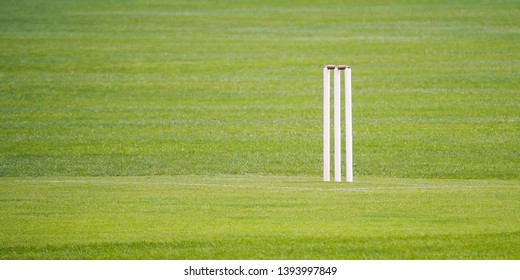 One end of a cricket pitch showing a set of stumps - Powered by Shutterstock