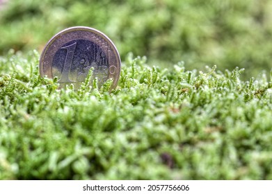 One euro coin sinks into the green moss. How much money will the green energy transition devour.