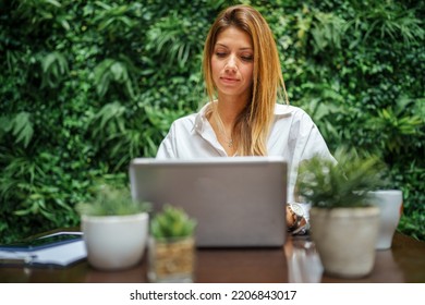 One Female Caucasian Business Woman With Long Hair Working On Computer Laptop At Restaurant Or Hotel Manager Entrepreneur Modern Lifestyle Concept