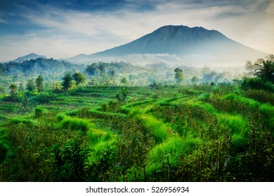 One Fine Morning Of Mount Agung Bali.