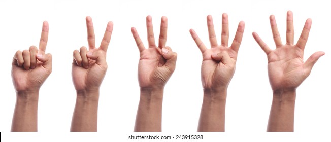One to five fingers count hand gesture isolated on white background.