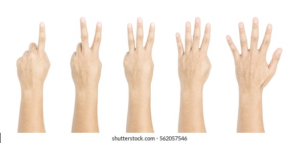 One to five fingers count signs isolated on white background - Shutterstock ID 562057546