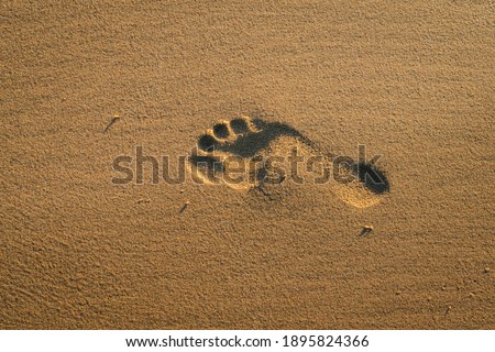 One footprint of human feet on the sand on the beach at sunset, texture abstract background