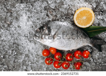 One fresh dorado fish resting on ice particles on the kitchen table, next to which are two sprigs of a green plant, a branch with cherry tomatoes and a cut half of a lemon