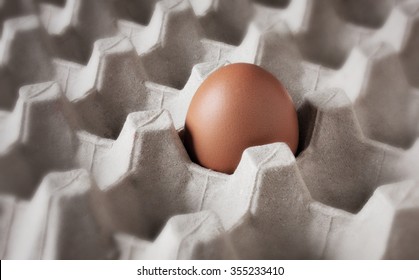 One Fresh Egg On A Cardboard Crate.