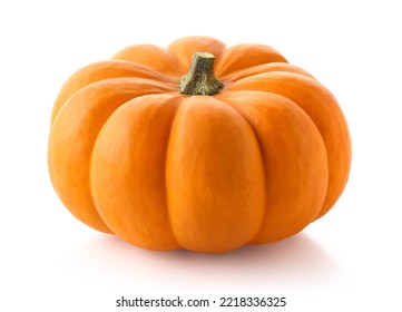 One fresh orange pumpkin isolated on white background. Halloween decoration - Powered by Shutterstock