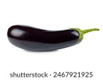 One fresh raw healthy eggplant or aubergine vegetable isolated on white background. Food ingredient, vegetatian cuisine, organic greenhouse farm plant