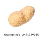 One fresh unpeeled peanut isolated on white