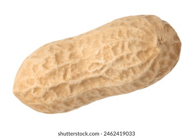 One fresh unpeeled peanut isolated on white - Powered by Shutterstock