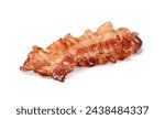 One fried bacon slice isolated on white