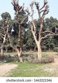 One Garden Near By Kashmiri Gate Of Delhi