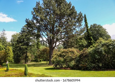 One Of The Gardens In The National Botanic Gardens, Dublin.