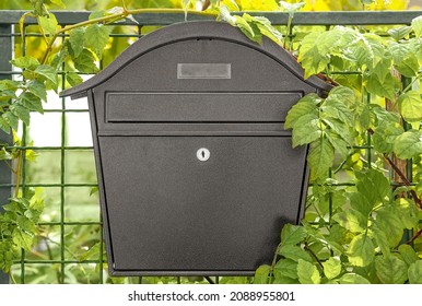 one gray metal mailbox on a wire fence and green leaves 