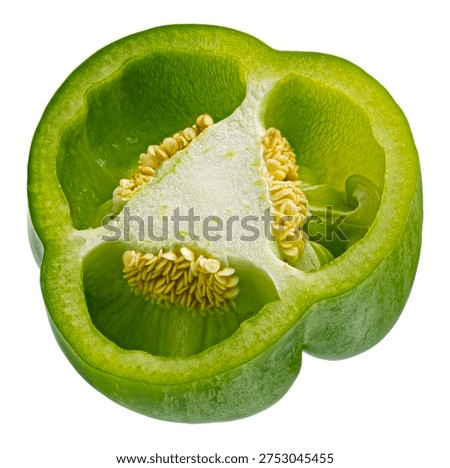 One green bell pepper slice isolated on white background