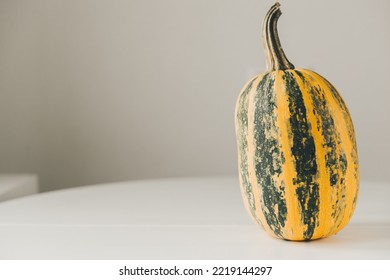 One Green-yellow  Pumpkin Standing On A White Table. It Is Lit By Natural Light From The Window. The Background Is Linen And Gray. 