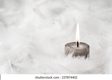 Eine graue brennende Kerze auf weißem Hintergrund mit Federn.