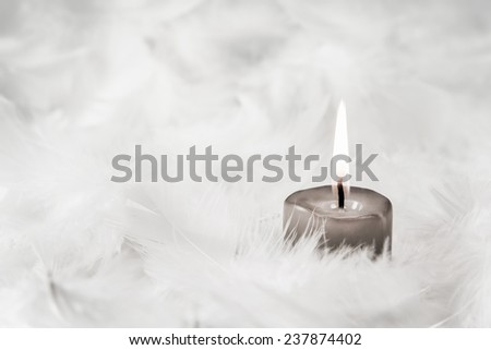 One grey burning candle on white background with feathers.