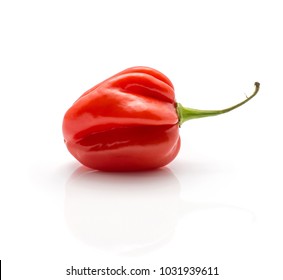 One Habanero Chili Red Hot Pepper Isolated On White Background
