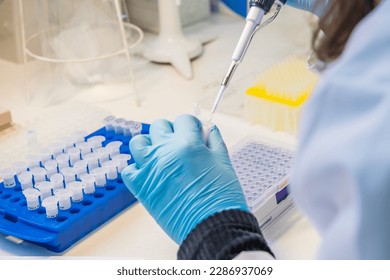 One hand holding  an eppendorf test tube with sample and a lab technician pipetting liquid into wells of a PCR plate in a laboratory. - Powered by Shutterstock