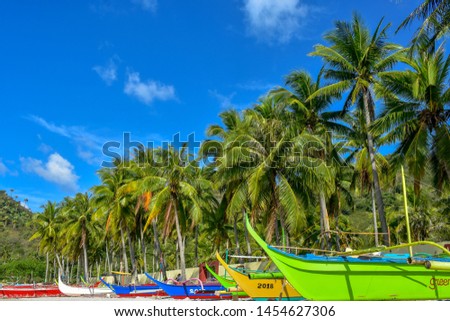 one happy morning in masasa beach, tingloy island, batangas, philippines. clear blue beautiful sky above the coconut trees and the boats