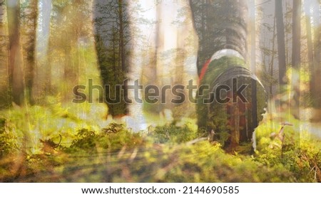 One hiker person walking in the woods. Double exposure photo