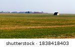 one house built in a field, a photo of a lonely farm on the background of vegetation and gray sky