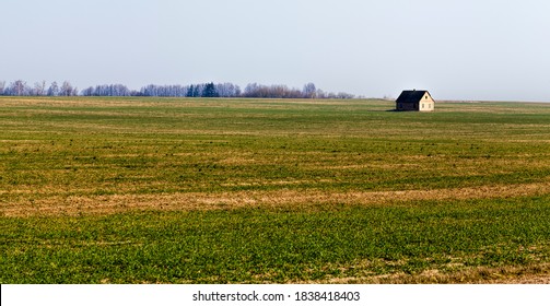 One House Built In A Field, A Photo Of A Lonely Farm On The Background Of Vegetation And Gray Sky