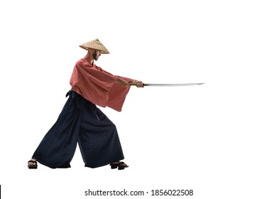 32,929 Samurai fight Images, Stock Photos & Vectors | Shutterstock