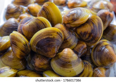 4,880 River Clams Images, Stock Photos & Vectors 