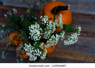 One large and several small pumpkins , with bouquet of small white flowers. In a center of  wooden background.  Close up. 