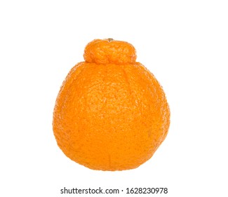 One Large Sumo Orange Isolated On White Background. Native To Japan, Sumo Oranges Are A Hybrid Citrus Fruit That's A Cross Between Mandarin And A California Naval Orange