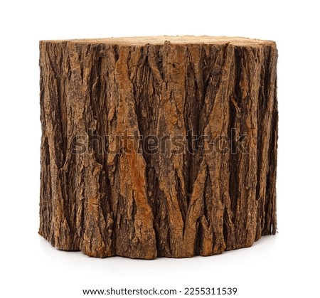 One large tree stump isolated on a white background.