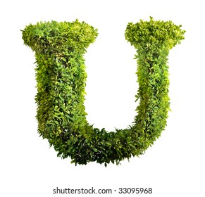 One Letter Bush Alphabet Stock Photo 33095968 | Shutterstock