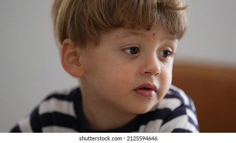 One little boy child portrait