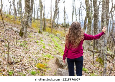 One Lonely Woman Standing Leaning Against Bare Tree Trunk In Forest On Devil's Knob Hiking Woods Trail In Wintergreen Ski Resort, Virginia