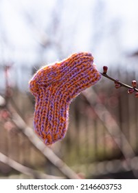 One Lost Knitted Baby Sock Hangs On A Tree Branch. National Lost Sock Memorial Day Concept.