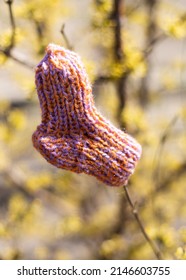 One Lost Knitted Baby Sock Hangs On A Tree Branch. National Lost Sock Memorial Day Concept.