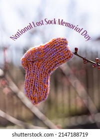 One Lost Knitted Baby Sock Hangs On A Tree Branch. National Lost Sock Memorial Day Concept.The Name Of The Holiday Is Written Over The Image.