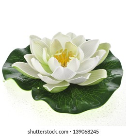 One Lotus Flower Isolated On White