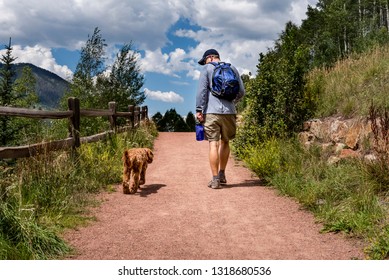 One Man Hiker & His Labradoodle Dog (best Friends) Are Walking Side By Side On A Dirt Hiking Trail Near Mountains On A Sunny Summer Day. Outdoor Recreation & Healthy Activity In A Beautiful Landscape.