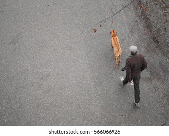 One man and his dog - Powered by Shutterstock