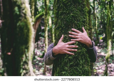 One man hugging a green trunk tree with musk in nature forest woods. Concept of environment and environmental lifestyle people. Savings from deforestation. Protection. Outdoor leisure park activity - Powered by Shutterstock