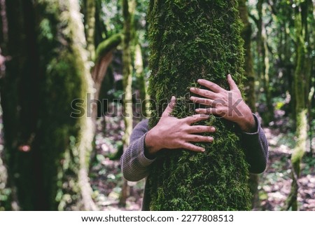 One man hugging a green trunk tree with musk in nature forest woods. Concept of environment and environmental lifestyle people. Savings from deforestation. Protection. Outdoor leisure park activity
