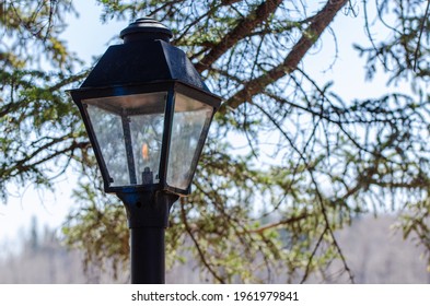 One Of The Many Gas Lamps Along An Alley In The City Park