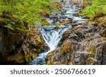 One of many waterfalls in Opal Creek.  It is in the Opal Creek Wilderness, a wilderness area located in the Willamette National Forest in Oregon.