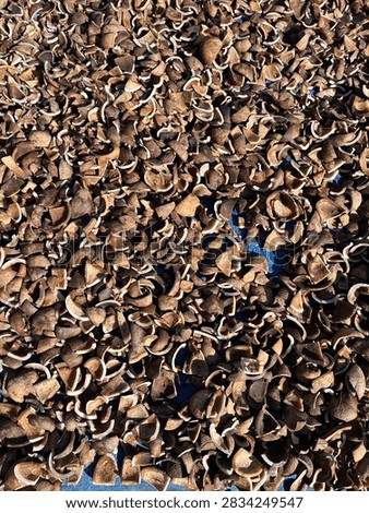 One of the methods for drying copra is sun-drying.