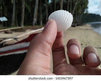 one in a million shells