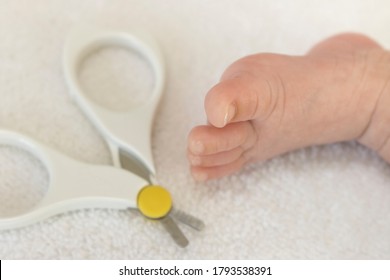 One Month Old Baby Foot And Baby Nail Clipper