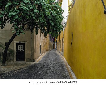 One of the narrow streets of Alfama with the typical cobblestone streets. Alfama,  Lisbon, Portugal - Powered by Shutterstock