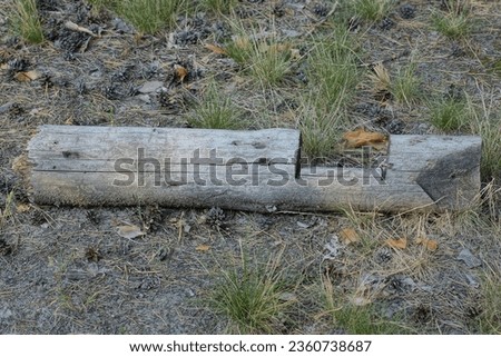 one old gray broken wooden pole lies on the ground and grass on the street